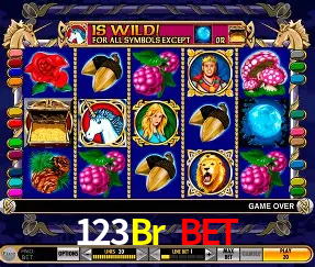 Slots no Site 123Br Bet
